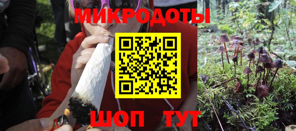 Псилоцибиновые грибы ЛСД Кингисепп