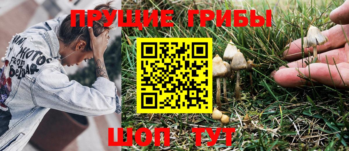 Галлюциногенные грибы ЛСД  Вход с VPN  Кингисепп 